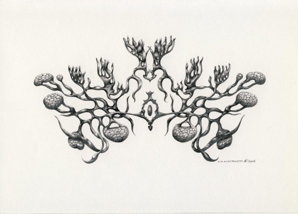 Amirello - Development Of Imagination