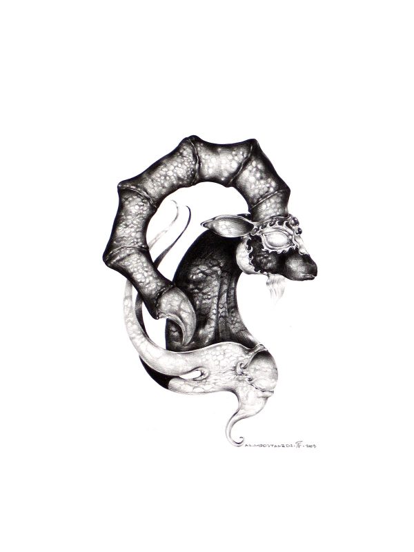 Amirello - Capricorn