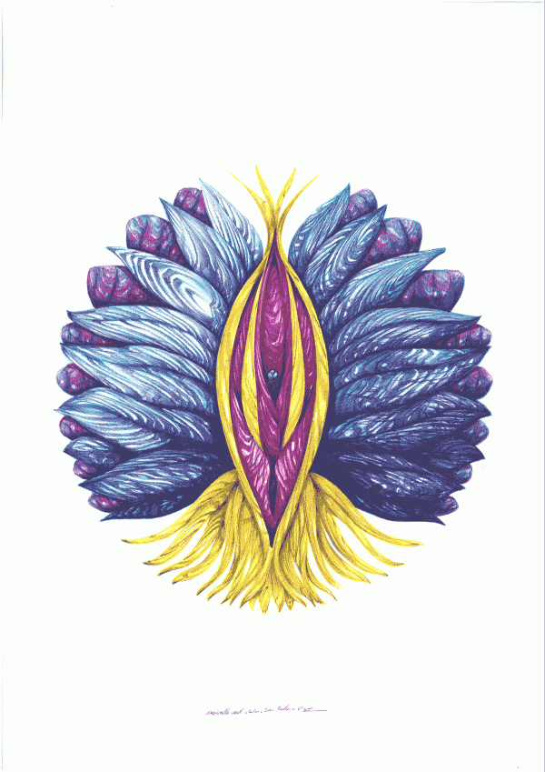 Amirello - Lanuguration